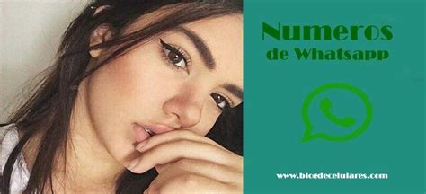 chicas en linares|Grupos números de Whatsapp chicas mujeres en Linares。